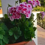 Maison d'hôtes Da Nonno Vittorio Vescina