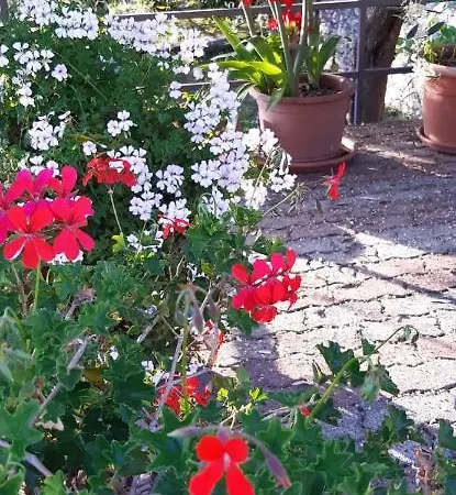 Da Nonno Vittorio Гостевой дом Vescina