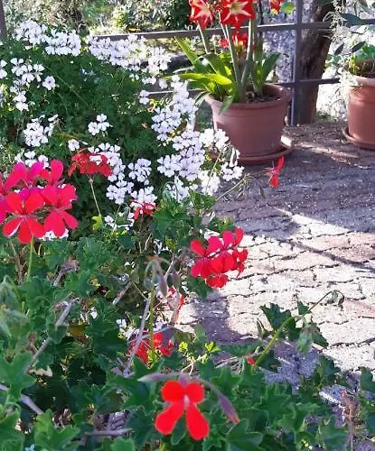 Da Nonno Vittorio Πανσιόν Vescina